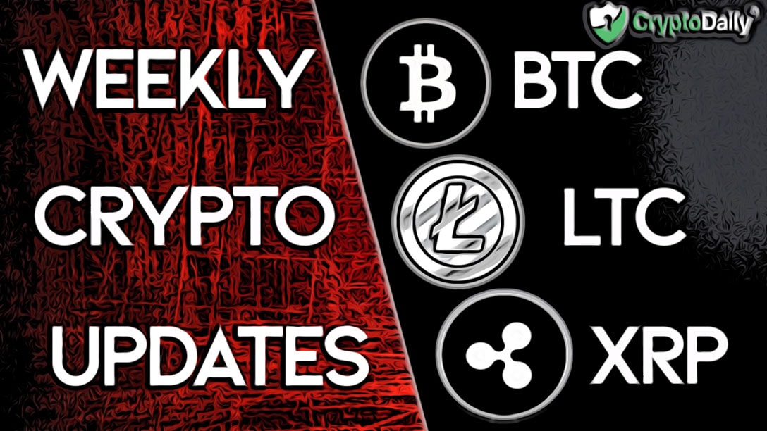 Exciting news from btc, ltc & xrp Exciting news from btc, ltc & xrp