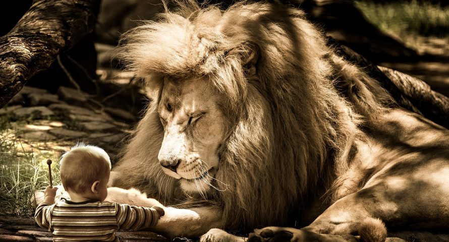 Was 2018 the end of the ico market? Lessons from booms and busts past Was 2018 the end of the ico market? Lessons from booms and busts past