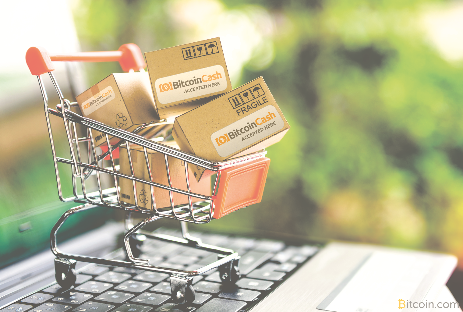 Community-run directory surpasses 1000 bch-accepting merchants Community-run directory surpasses 1000 bch-accepting merchants