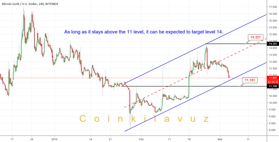 Bitcoin gold Bitcoin gold