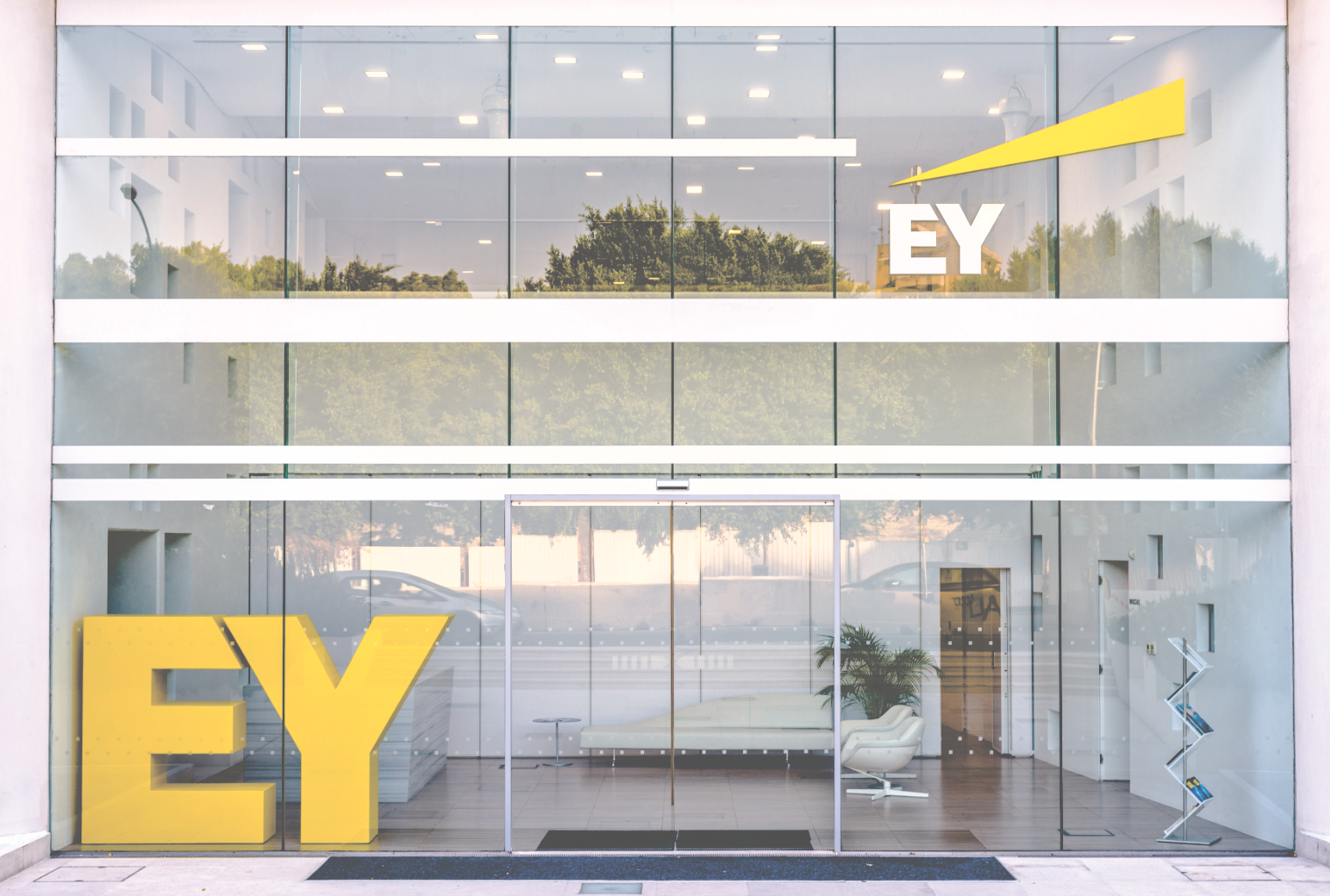 Ey executive says bitcoin has no practical use in india Ey executive says bitcoin has no practical use in india