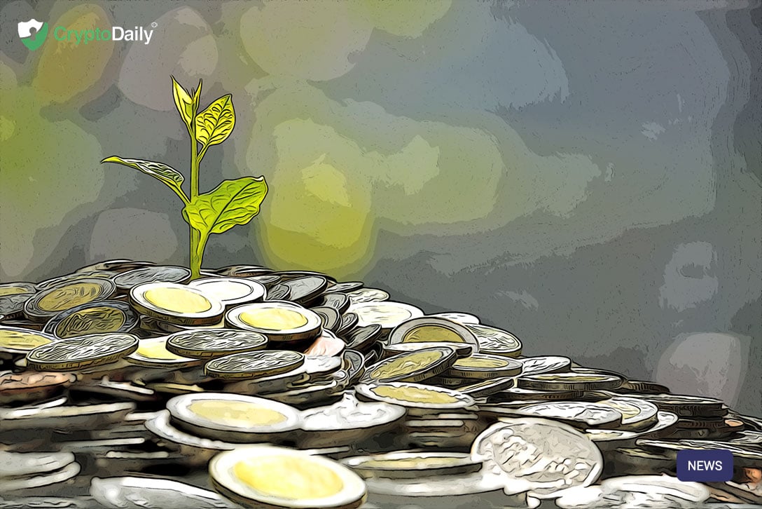 Despite bear market, crypto exchanges still thrive Despite bear market, crypto exchanges still thrive