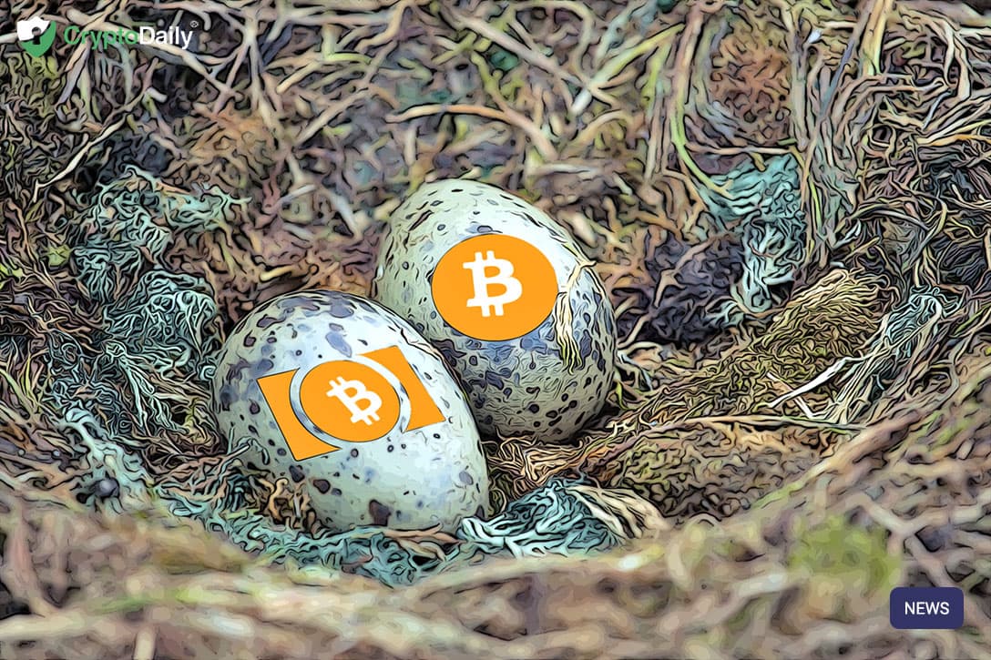 Btc adoption grows with fortune 500’s 2 million customers Btc adoption grows with fortune 500’s 2 million customers