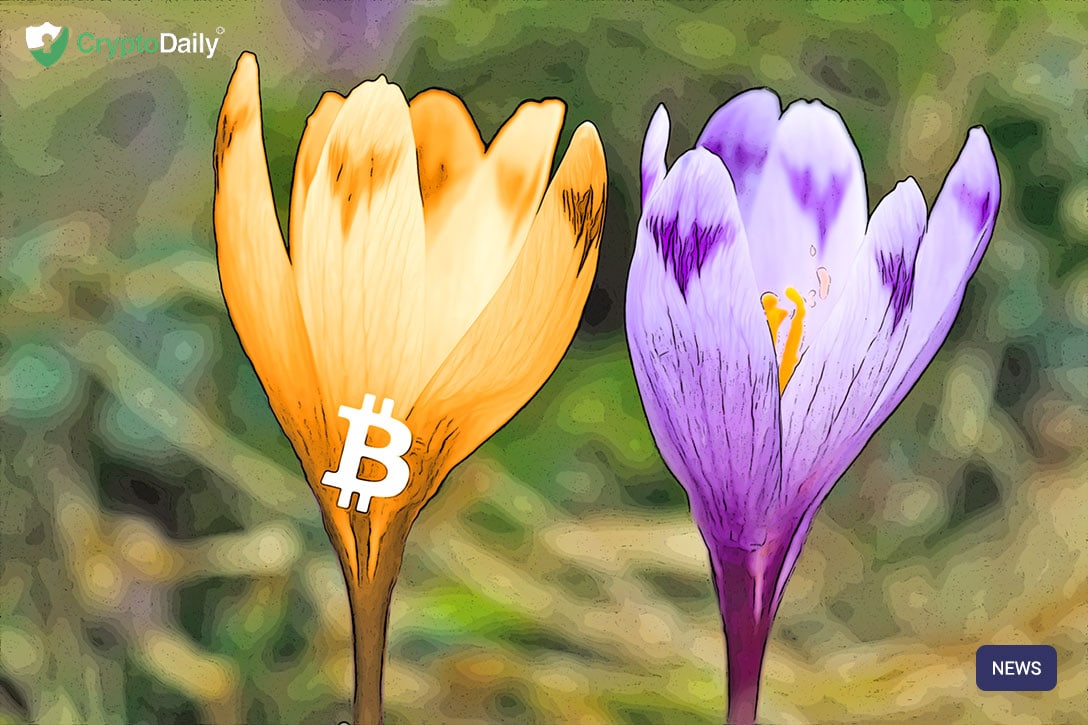 Blockchain summit 2019: sec wants to drive innovation Blockchain summit 2019: sec wants to drive innovation