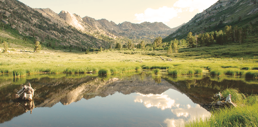 ‘bitcointopia’ founder admits selling government-owned land to bitcoiners ‘bitcointopia’ founder admits selling government-owned land to bitcoiners