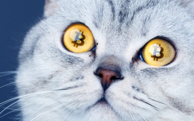 Shutterstock_1067419733-640x400. Jpg Bitcoinist analyst puts his money where his mouth is… on bitcoin’s bottom