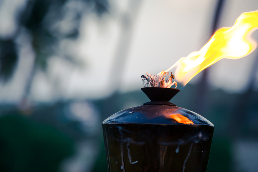 Bitcoin lightning torch: ende in sicht Bitcoin lightning torch: ende in sicht