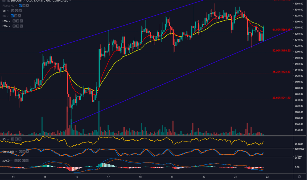 Bitcoin maintains uptrend as key indicator shows a big move is imminent Bitcoin maintains uptrend as key indicator shows a big move is imminent
