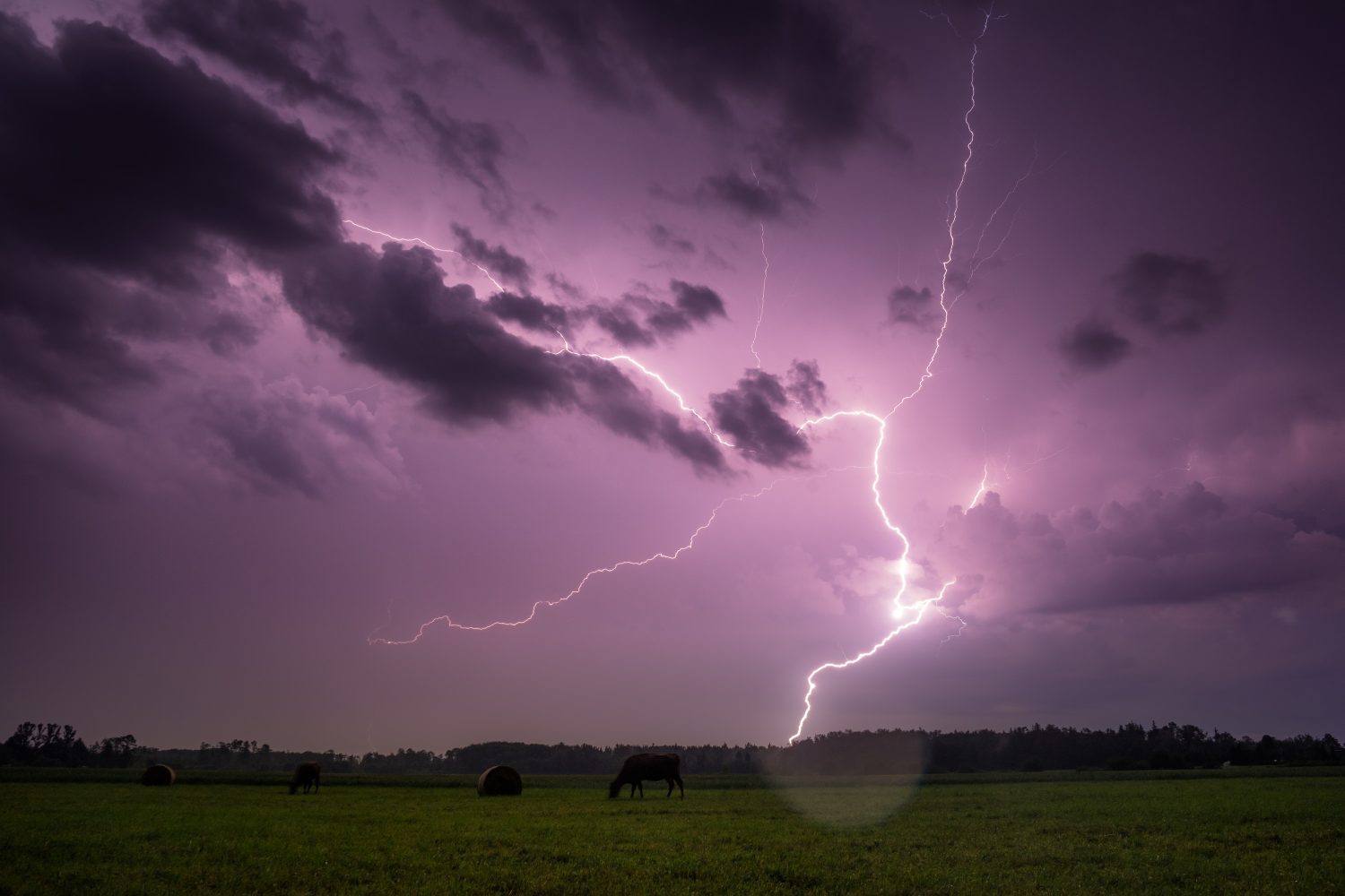 This new lightning app aims to make getting paid in bitcoin easier This new lightning app aims to make getting paid in bitcoin easier