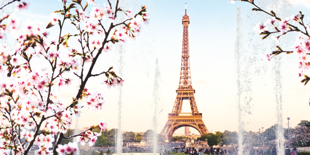 France adopts new cryptocurrency regulation France adopts new cryptocurrency regulation