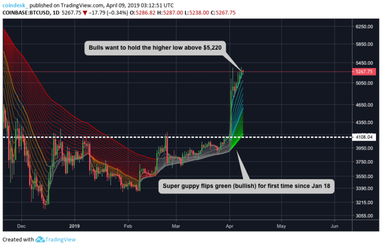 Bitcoin’s ‘super guppy’ price indicator flips bullish in first since early 2018 Bitcoin’s ‘super guppy’ price indicator flips bullish in first since early 2018