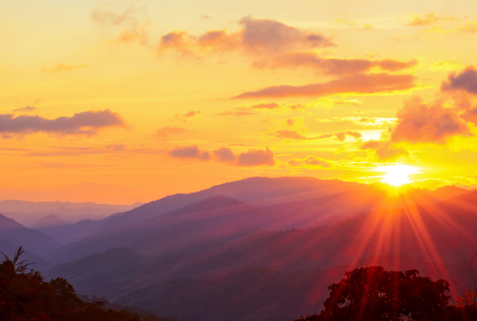 The darknet rises with 6 new markets The darknet rises with 6 new markets