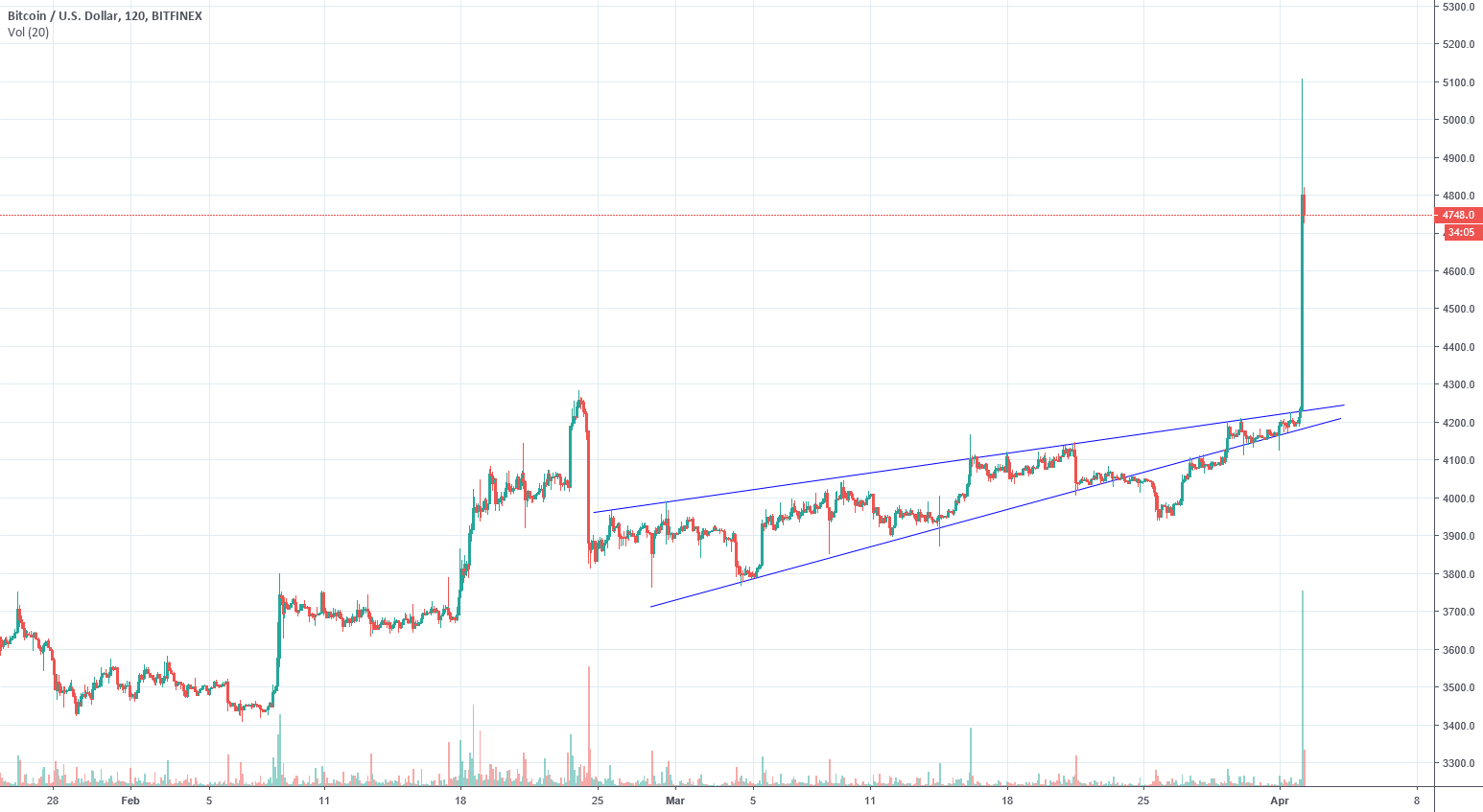 You know the saying bulls make money bears make money and pigs You know the saying bulls make money bears make money and pigs