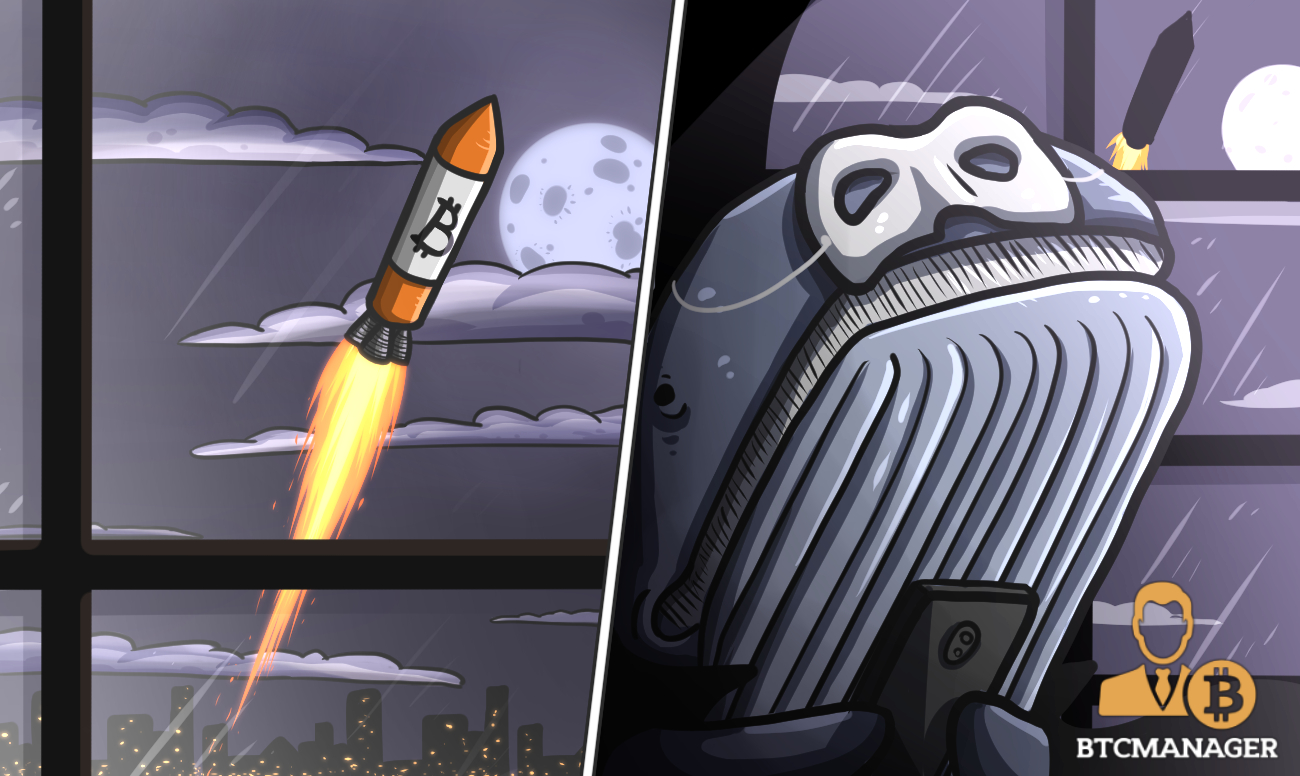 Bitcoin moves past $5,000 mark as mystery whale(s) cause sudden rally: btcmanager’s week in review april 8, 2019 Bitcoin moves past $5,000 mark as mystery whale(s) cause sudden rally: btcmanager’s week in review april 8, 2019