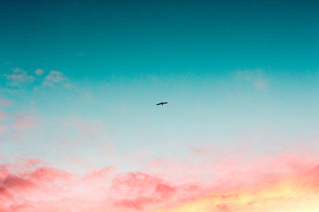 Bitcoin, litecoin, ethereum, and ripple on the rise Bitcoin