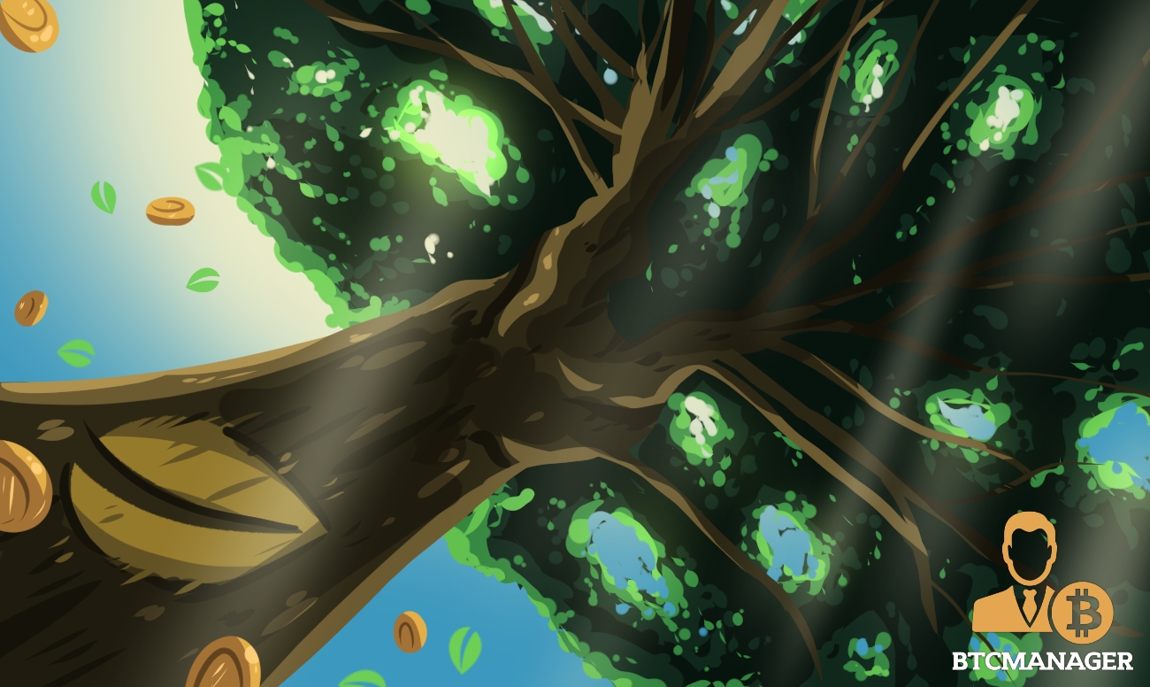 Bitfinex cto says exchange raised $1 billion through private placement Bitfinex cto says exchange raised $1 billion through private placement