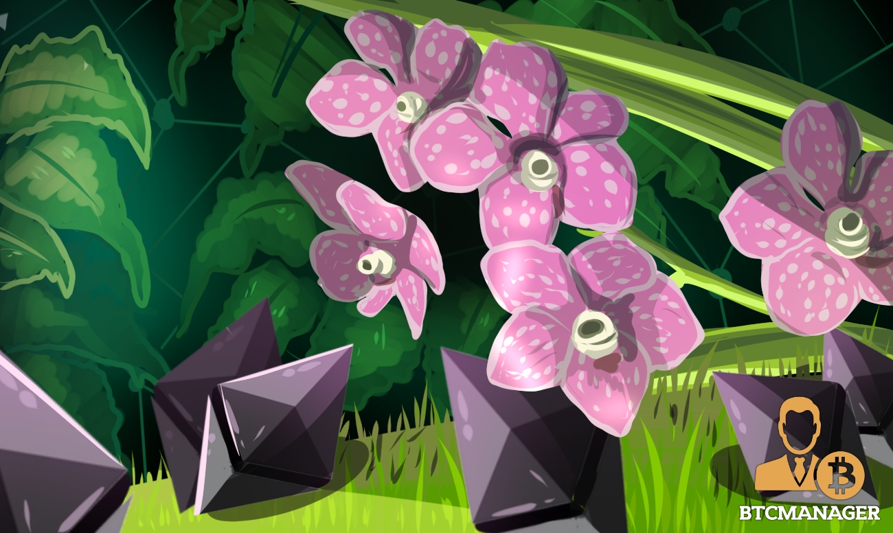 Orchid labs wants to build a natural internet Orchid labs wants to build a natural internet