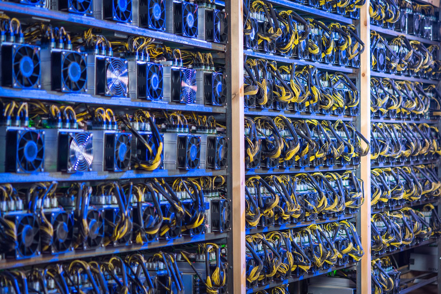 London-listed argo blockchain adds 1,000 miners in bid to salvage stock price London-listed argo blockchain adds 1,000 miners in bid to salvage stock price