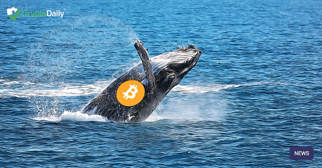 15k bitcoins moved by whale 15k bitcoins moved by whale