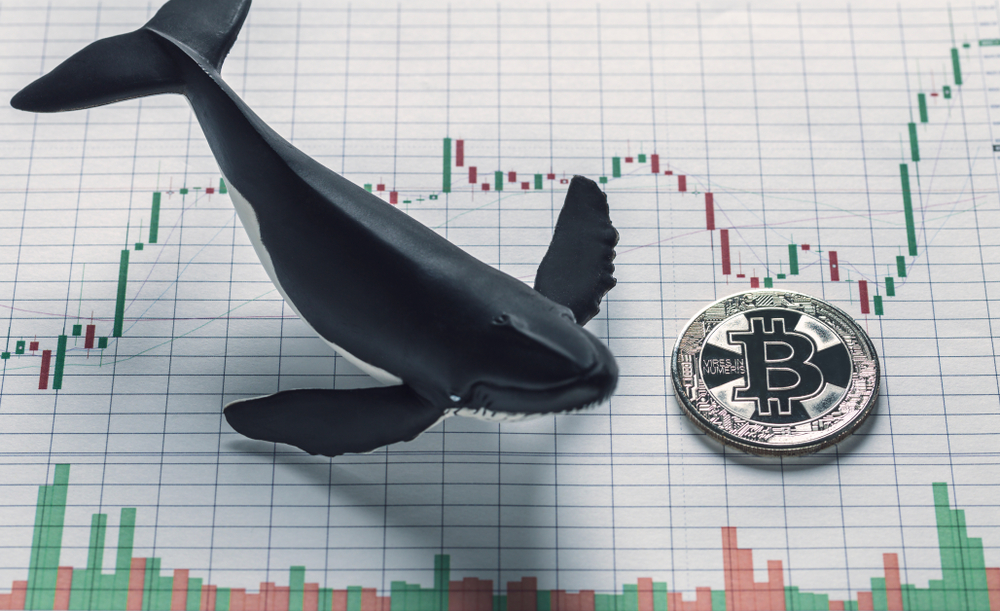Bitcoin may be gearing up for a move to $10,000 as upwards momentum continues Bitcoin may be gearing up for a move to $10,000 as upwards momentum continues