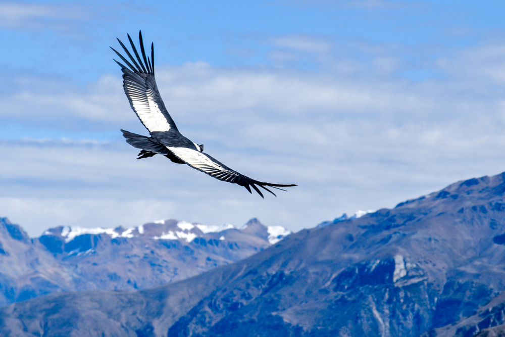 Bitcoin price rise after tether scandal shows end of crypto winter: fundstrat Bitcoin price rise after tether scandal shows end of crypto winter: fundstrat