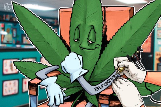 Blockchain investor grandshores tech turns to industrial cannabis after crypto market rout Blockchain investor grandshores tech turns to industrial cannabis after crypto market rout