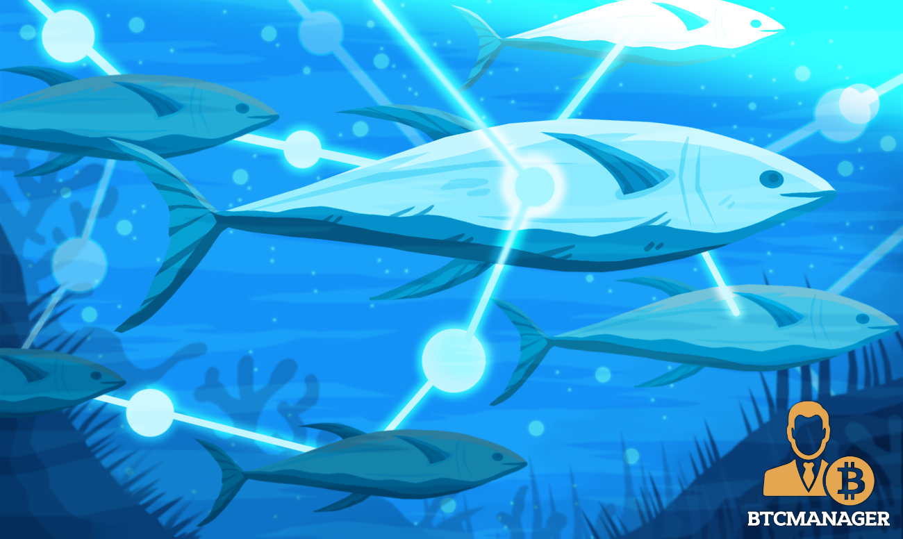 Major companies plan to track sea food and clothing using blockchain Major companies plan to track sea food and clothing using blockchain