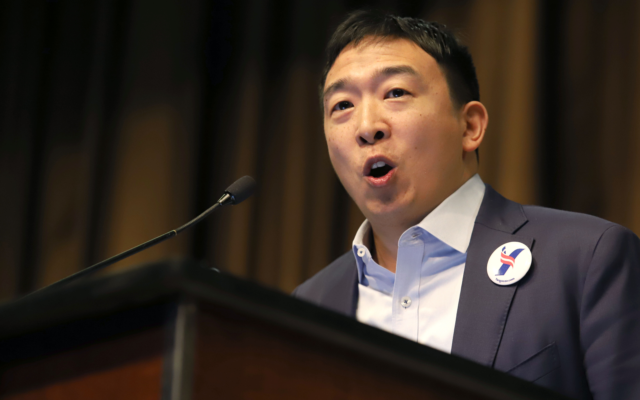 Bitcoiners slam andrew yang for ‘cash is king’ comment Bitcoiners slam andrew yang for ‘cash is king’ comment