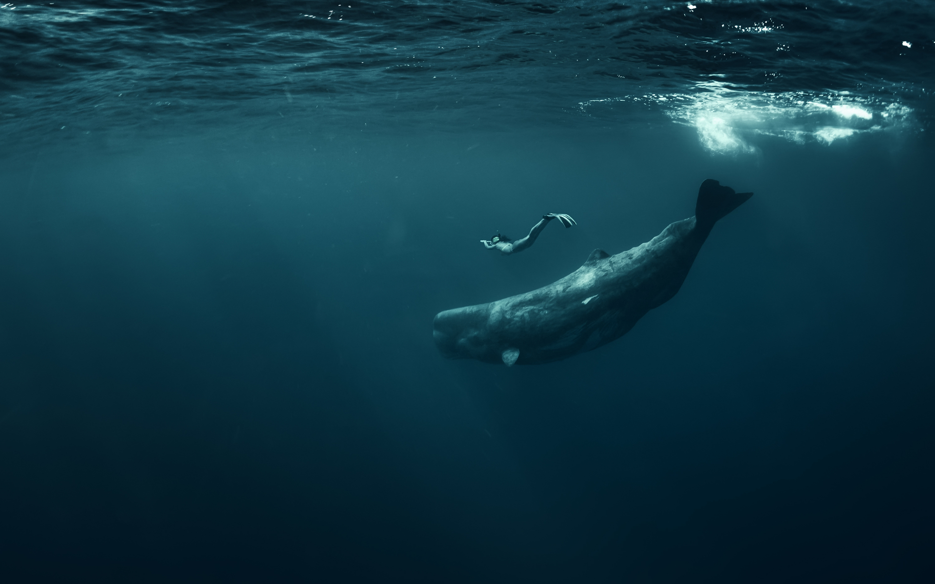 Whale moves $212,000 million for 57 cents using bitcoin Whale moves $212,000 million for 57 cents using bitcoin