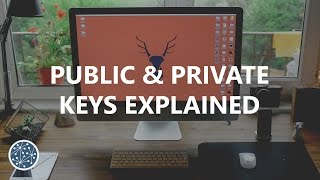 Public & private keys expalined (litecoin/bitcoin) Public & private keys expalined (litecoin/bitcoin)