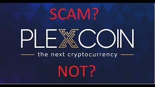 1000+% profit plex coin crypto ico- is it real? 1000+% profit plex coin crypto ico- is it real?