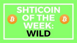 Shitcoin of the week: wild - should you invest? Shitcoin of the week: wild - should you invest?
