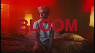 🌺bloom 🌺 🌺bloom 🌺