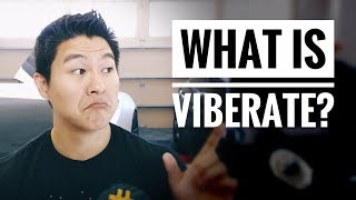 What is viberate? - starving artists trying to make it big? - #review What is viberate? - starving artists trying to make it big? - #review