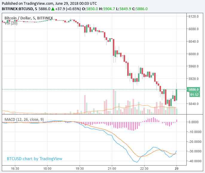 Newsflash: bitcoin price careens below $6,000 as downturn worsens Bitcoin price
