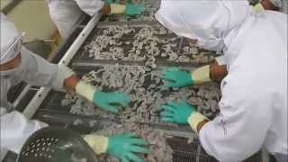 Arico product: a-sc-500 Arico product: a-sc-500