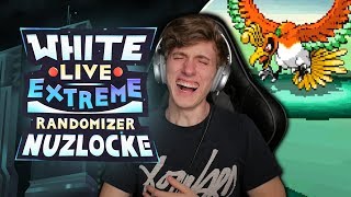 Live 🔴 pure insanity!! | pokemon white extreme randomizer nuzlocke ep 2 Live 🔴 pure insanity!! | pokemon white extreme randomizer nuzlocke ep 2