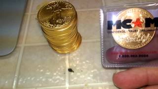 20 gold american eagles! 20 gold american eagles!