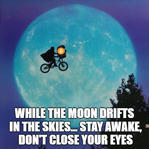 While the moon drifts in the skies... Stay awake, don't close your eyes