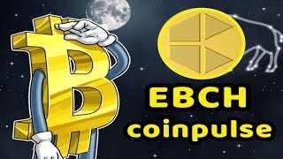 ما هي عملة ebch ومنصة coinpulse القادمة وهل ينصح الدخول فيها - cryptocurrency news ما هي عملة ebch ومنصة coinpulse القادمة وهل ينصح الدخول فيها - cryptocurrency news