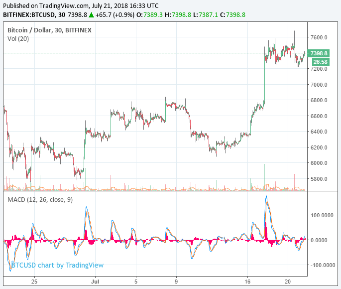 Worst not yet over for bitcoin price: bitmex ceo arthur hayes Bitcoin price chart