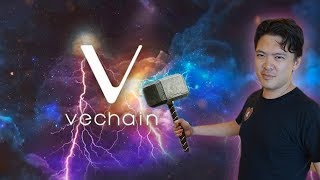 Vechain mainnet launch guide Vechain mainnet launch guide