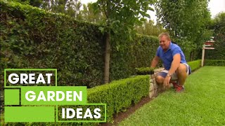 Tips & tricks for perfect hedging | gardening | great home ideas Tips & tricks for perfect hedging | gardening | great home ideas