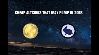 Cheap altcoins that may pump in 2018: rabbitcoin & batcoin Cheap altcoins that may pump in 2018: rabbitcoin & batcoin