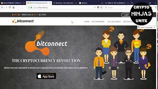 My biggest mistake in crypto! Bitconnect, davor & mint coin! What not to do in bitcoin My biggest mistake in crypto! Bitconnect, davor & mint coin! What not to do in bitcoin