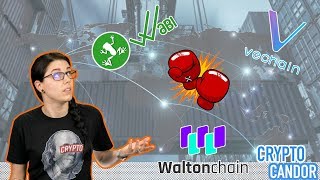 Walton vs. Vechain vs. Wabi | supply chain part 1 of 2 | Walton vs. Vechain vs. Wabi | supply chain part 1 of 2 |