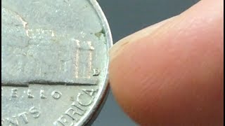 1955-d nickel worth money - how much is it worth and why? 1955-d nickel worth money - how much is it worth and why?