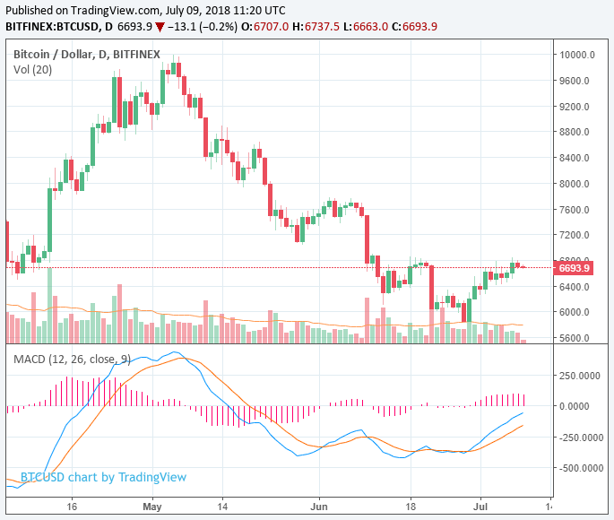 Bitcoin price remains above $6,700 as crypto market stabilizes; another fall inevitable? Bitcoin price remains above $6,700 as crypto market stabilizes; another fall inevitable?