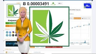 Marijuanacoin $mar rose 229% over the past day Marijuanacoin $mar rose 229% over the past day