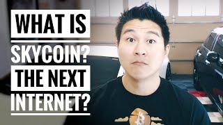 What is skycoin? - the next internet? - #review What is skycoin? - the next internet? - #review